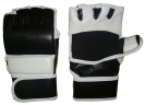 MMA Gloves